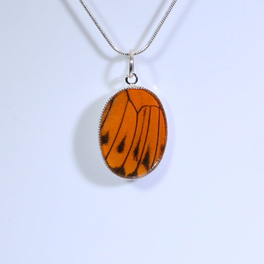 52205 - Real Butterfly Wing Jewelry - Pendant - Medium - Hebomia - Orange