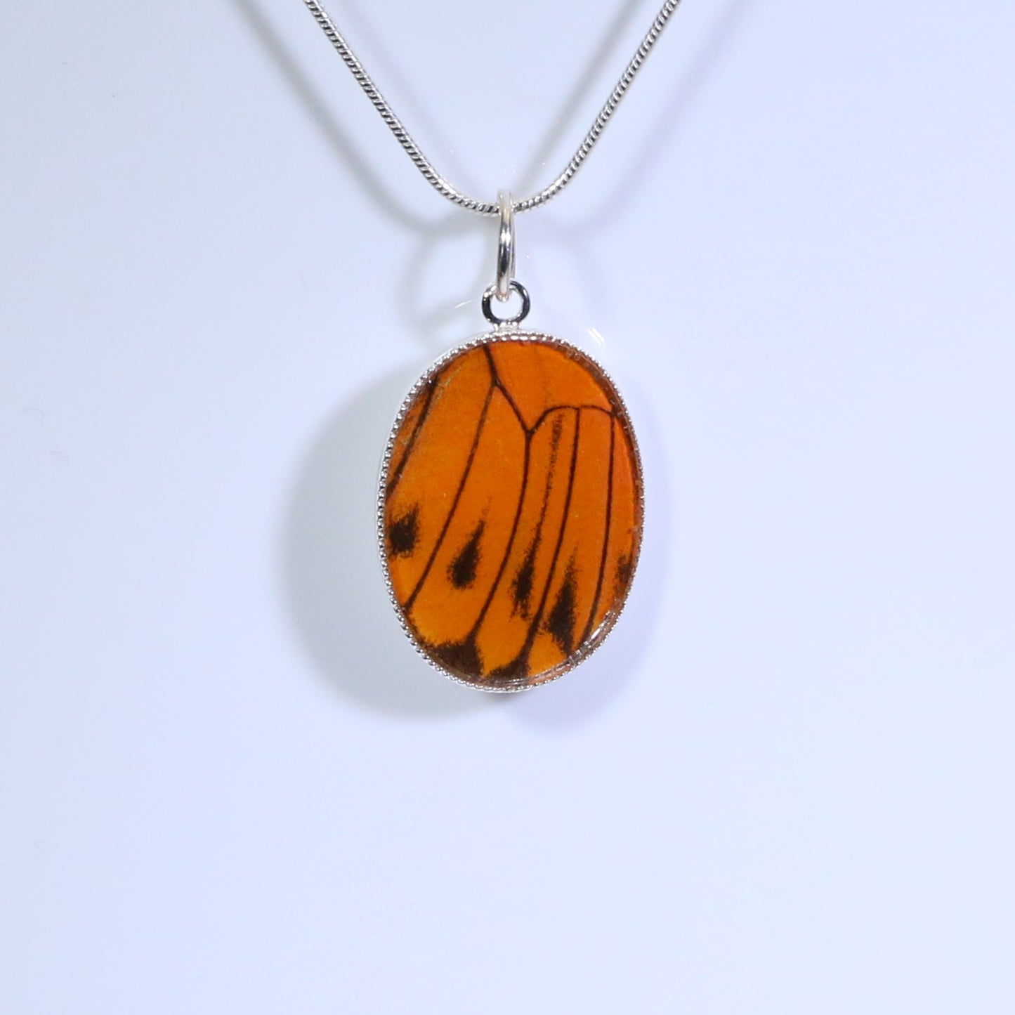 52205 - Real Butterfly Wing Jewelry - Pendant - Medium - Hebomia - Orange