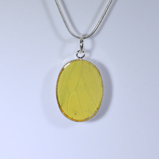 52206 - Real Butterfly Wing Jewelry - Pendant - Medium - Hebomia - Yellow