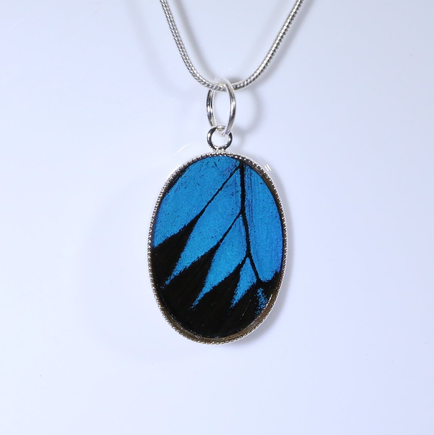 52007 - Real Butterfly Wing Jewelry - Pendant Collection - Blue Mountain Swallowtail