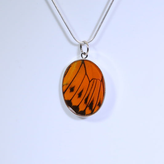 52305 - Real Butterfly Wing Jewelry - Pendant - Large - Hebomia - Orange