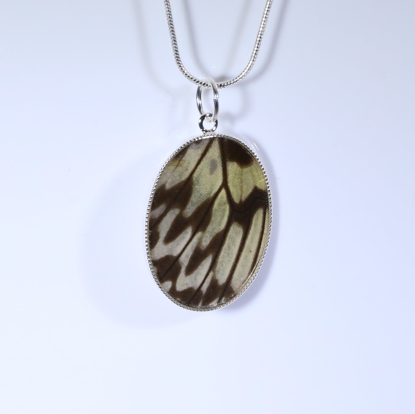 52009 - Real Butterfly Wing Jewelry - Pendant Collection - Paper Kite Butterfly