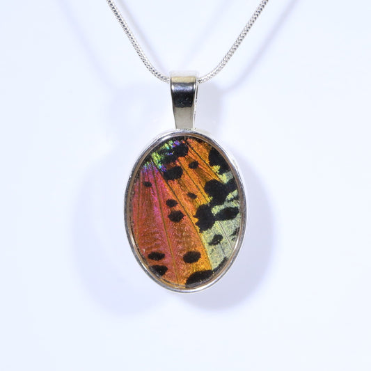 52312 - Real Butterfly Wing Jewelry - Pendant - Large Bale - Oval -  Sunset Moth - Orange