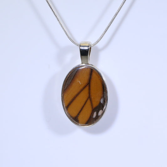 52314 - Real Butterfly Wing Jewelry - Pendant - Large Bale - Oval -  Monarch