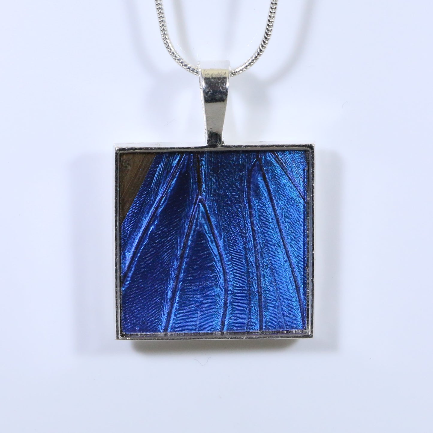 52001 - Real Butterfly Wing Jewelry - Pendant Collection - Blue Morpho