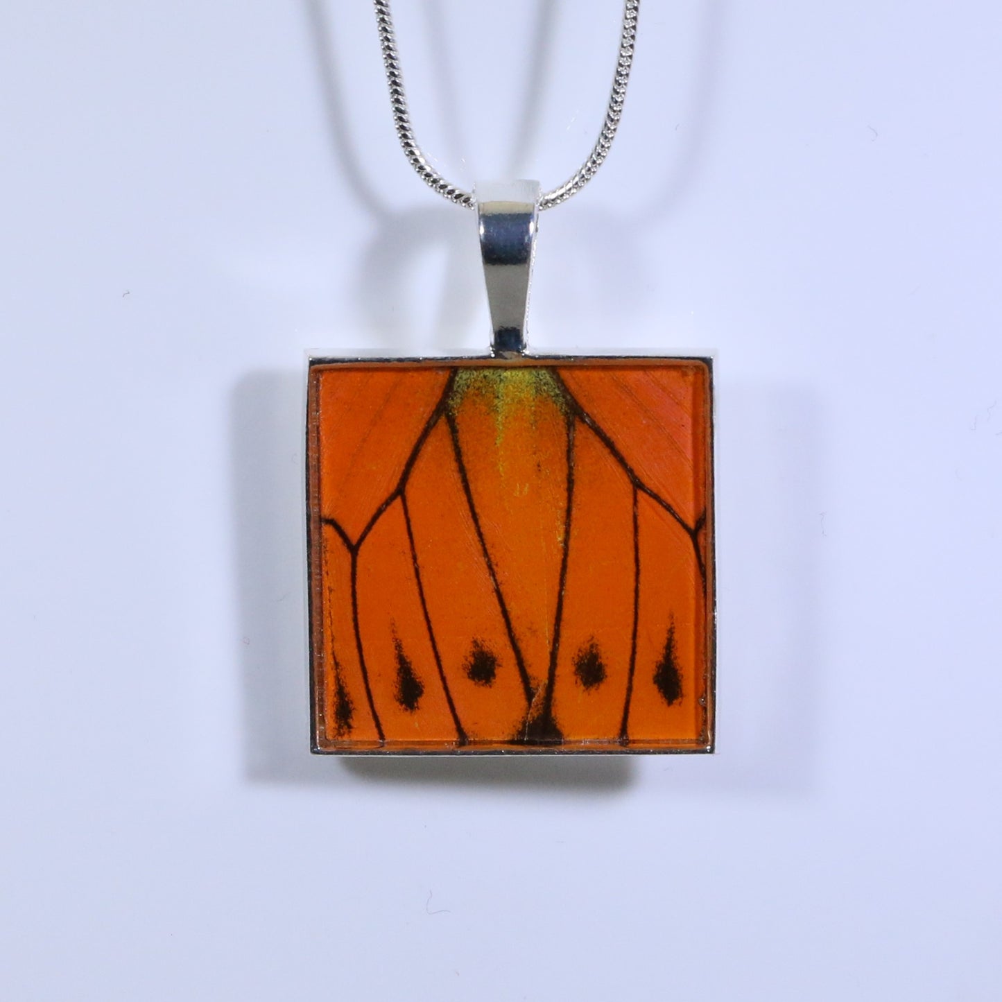 52005 - Real Butterfly Wing Jewelry - Pendant Collection - Vibrant Sulphur - Orange