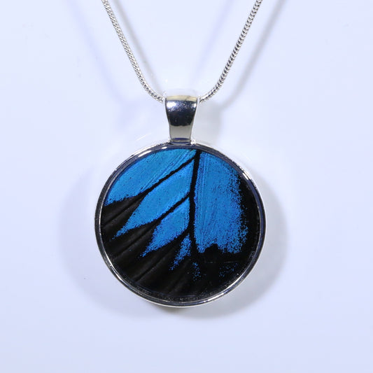 52337 - Real Butterfly Wing Jewelry - Pendant - Large Bale - Round - Blue Mountain Swallowtail