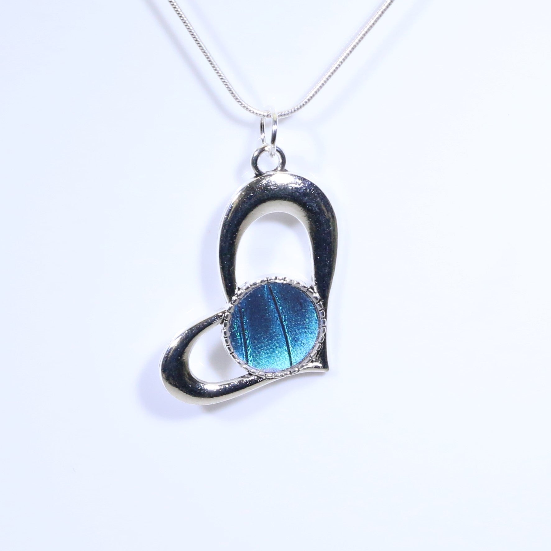 Real popular Butterfly Wing Necklace Blue Morpho FREE SHIPPING