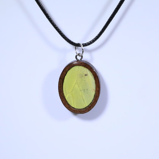 52616 - Real Butterfly Wing Jewelry - Pendant - Dark Wood - Oval - Plain - Hebomia - Yellow