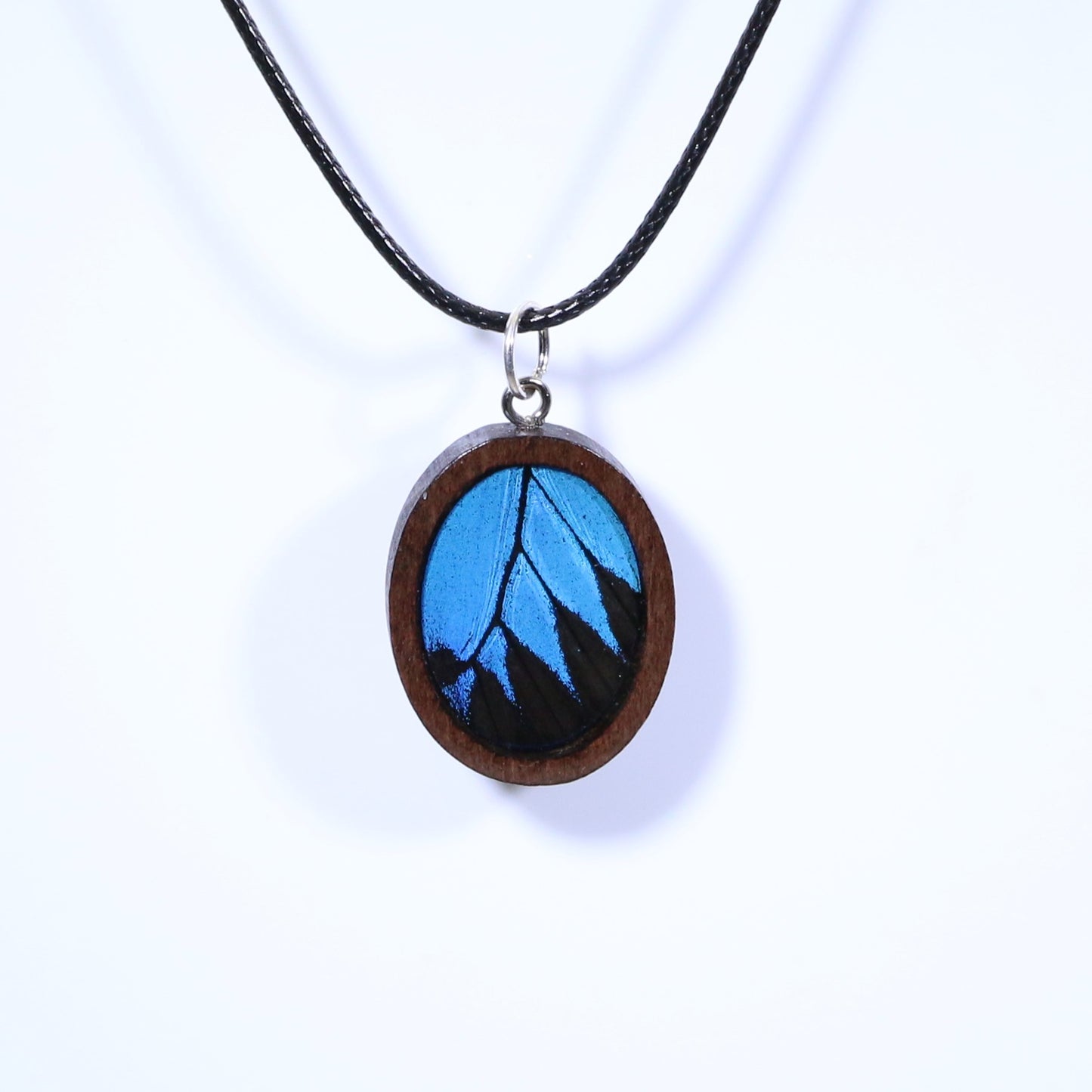 52007 - Real Butterfly Wing Jewelry - Pendant Collection - Blue Mountain Swallowtail