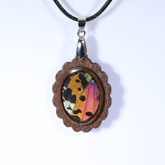 52712 - Real Butterfly Wing Jewelry - Pendant - Dark Wood - Oval - Filigree - Sunset Moth - Orange