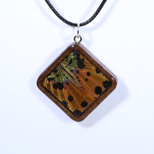 52912 - Real Butterfly Wing Jewelry - Pendant - Dark Wood - Large - Diamond Shape - Sunset Moth - Orange