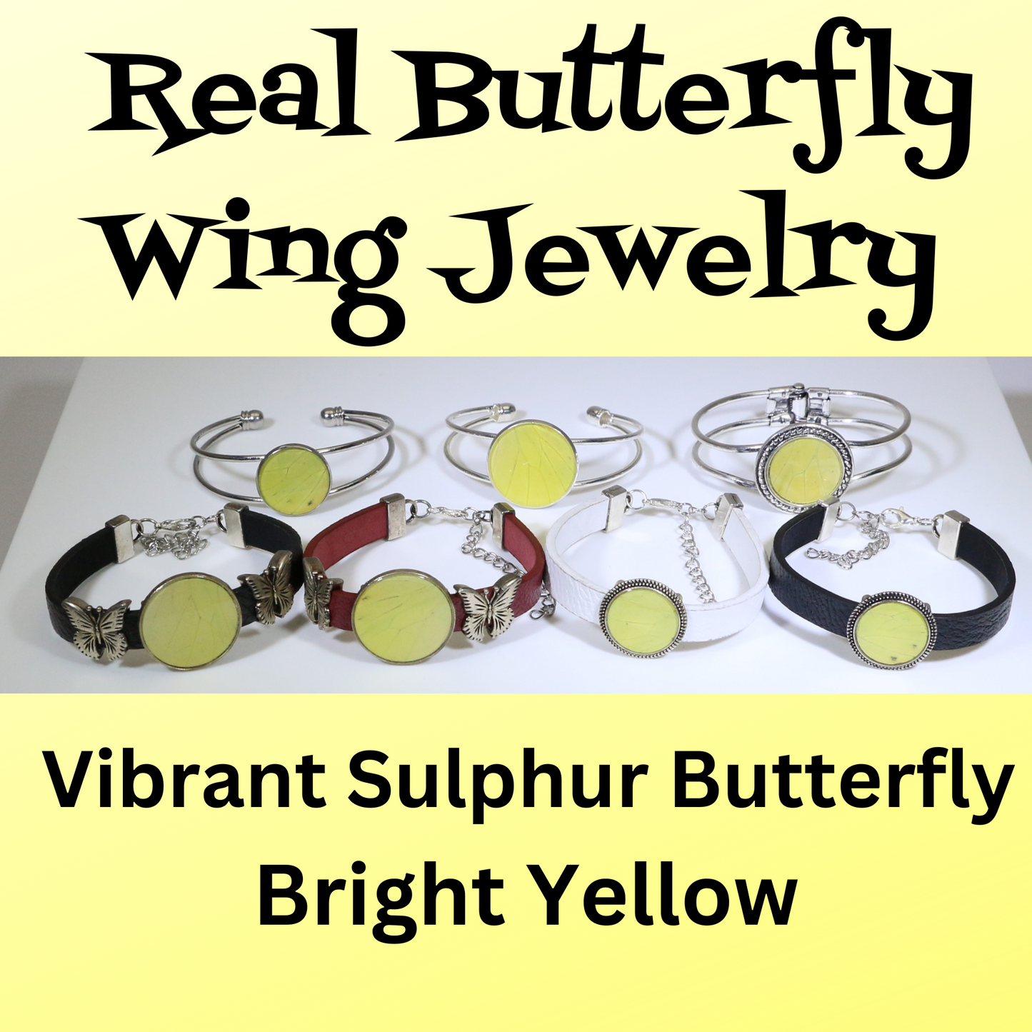 53006 - Real Butterfly Wing Jewelry - Bracelet Collection -Vibrant Sulphur Butterfly - Yellow