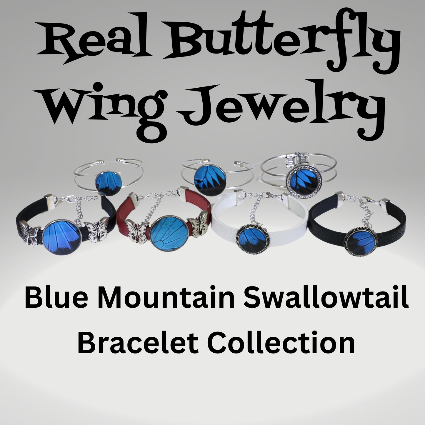 53007 - Real Butterfly Wing Jewelry - Bracelet Collection - Blue Mountain Swallowtail