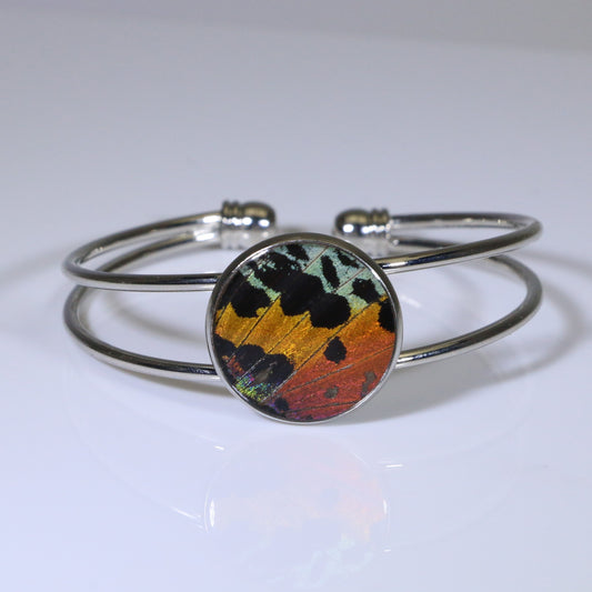 53802 - Real Butterfly Wing Jewelry - Cuff Bracelet - Silver-Plated - 20mm - Sunset Moth - Orange