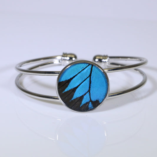 53807 - Real Butterfly Wing Jewelry - Cuff Bracelet - Silver-Plated - 20mm - Blue Mountain Swallowtail