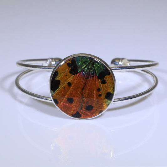 53902 - Real Butterfly Wing Jewelry - Cuff Bracelet - 25mm - Silver-Plated - Sunset Moth - Orange