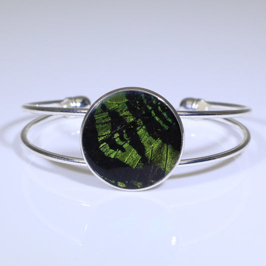 53903 - Real Butterfly Wing Jewelry - Cuff Bracelet - 25mm - Silver-Plated - Sunset Moth - Green