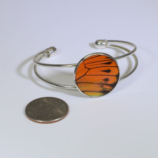 53905 - Real Butterfly Wing Jewelry - Cuff Bracelet - 25mm - Silver-Plated - Hebomia - Orange