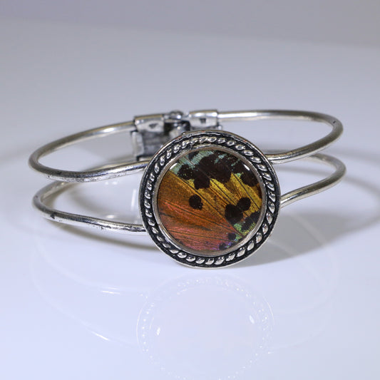 53952 - Real Butterfly Wing Jewelry - Cuff Bracelet - 25mm - Hinged Back - Sunset Moth - Orange