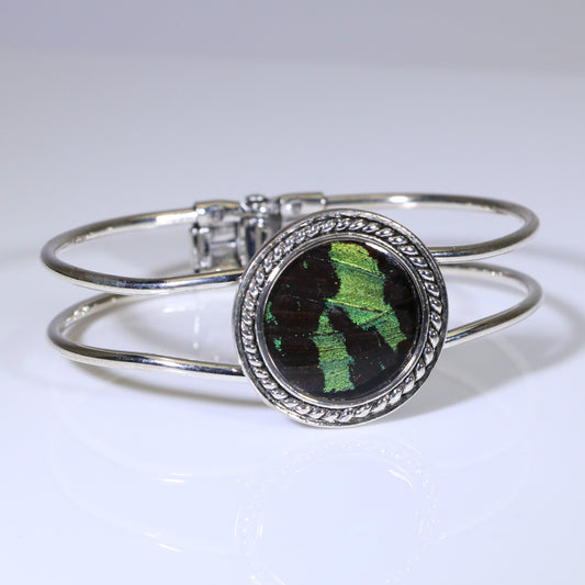 53953 - Real Butterfly Wing Jewelry - Cuff Bracelet - 25mm - Silver-Plated - Hinged Back - Sunset Moth - Green
