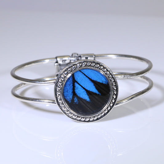 53957 - Real Butterfly Wing Jewelry - Cuff Bracelet - 25mm - Silver-Plated - Hinged Back - Blue Mountain Swallowtail