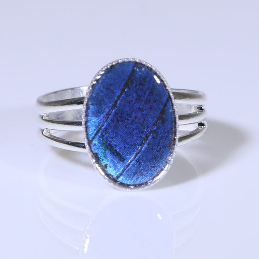 54001 - Real Butterfly Wing Jewelry - Ring Collection - Blue Morpho