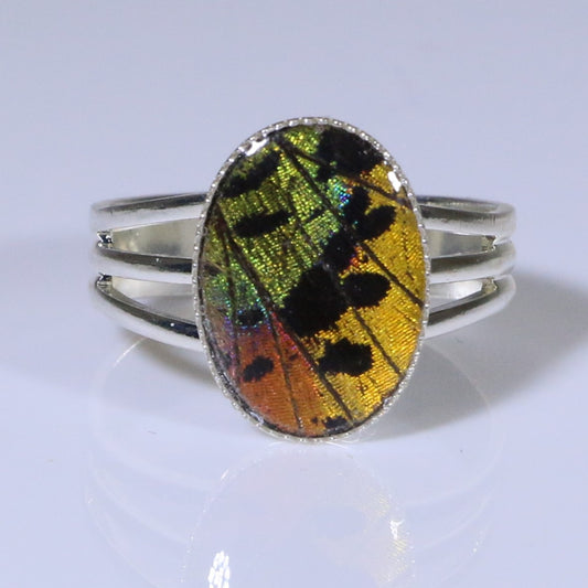 54002 - Real Butterfly Wing Jewelry - Rings - Sunset Moth - Orange