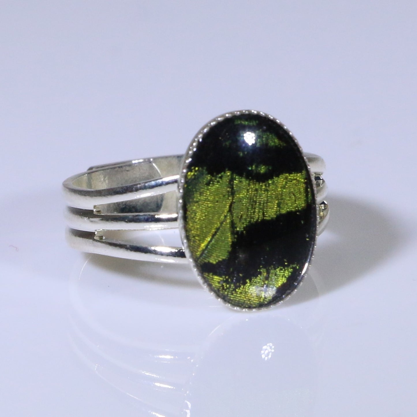 54003 - Real Butterfly Wing Jewelry - Rings - Sunset Moth - Green