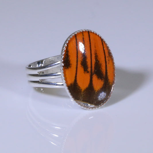 54205 - Real Butterfly Wing Jewelry - Rings - Medium - Adjustable - Hebomia - Orange