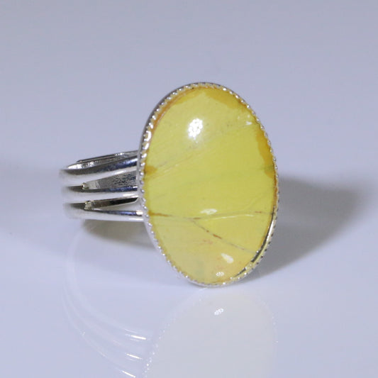 54006 - Real Butterfly Wing Jewelry - Rings - Vibrant Sulphur - Yellow