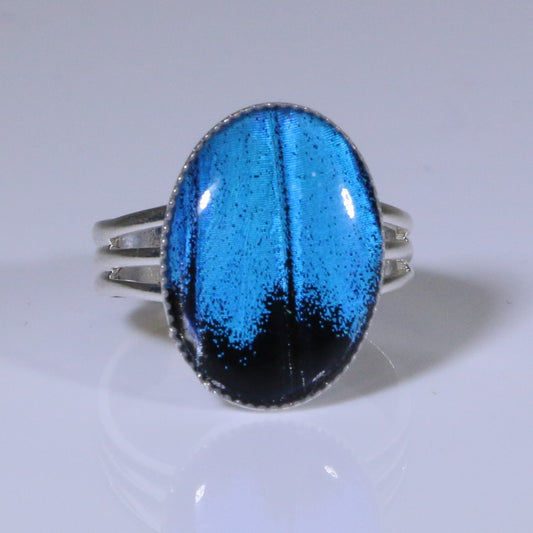 54207 - Real Butterfly Wing Jewelry - Rings - Medium - Adjustable - Blue Mountain Swallowtail