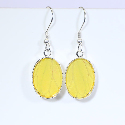 51106 - Real Butterfly Wing Jewelry - Earrings - Small - Hebomia - Yellow