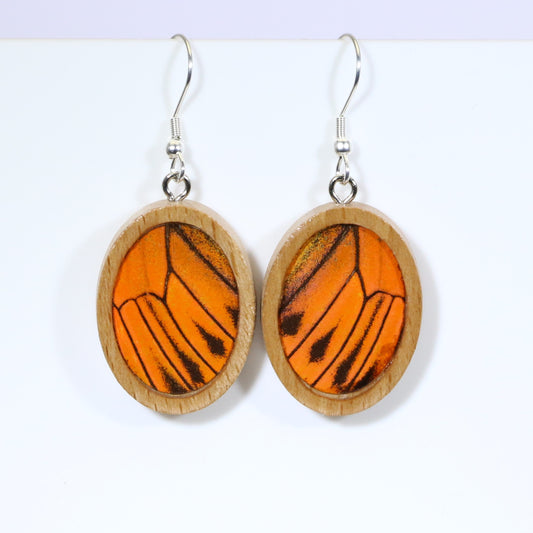 51605 - Real Butterfly Wing Jewelry - Earrings - Medium - Tan Wood - Oval - Plain - Hebomia - Orange