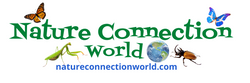 Nature Connection World logo