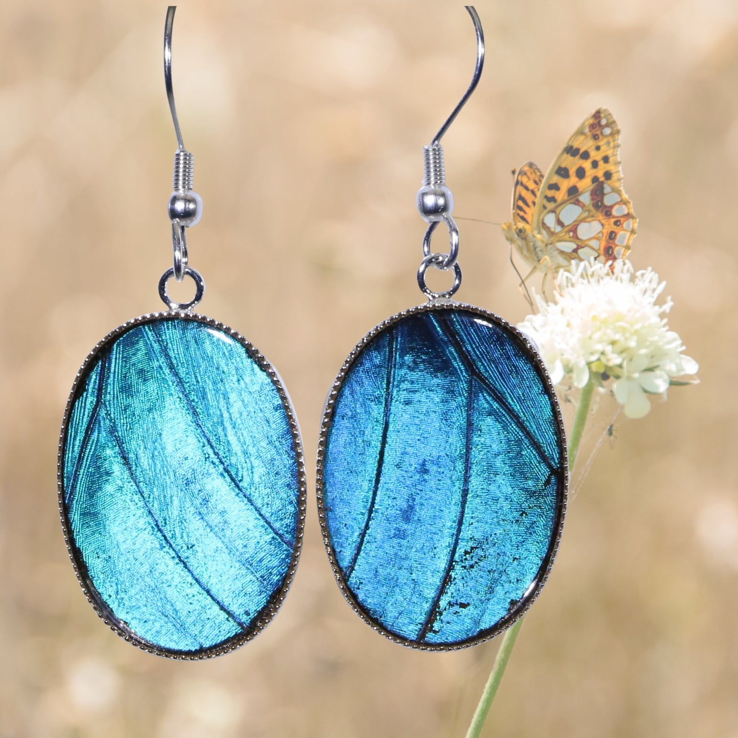 51301 - Real Butterfly Wing Jewelry - Earrings - Large - Blue Morpho