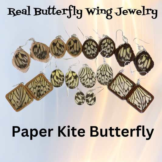 51009 - Real Butterfly Wing Jewelry - Earring Collection - Paper Kite Butterfly