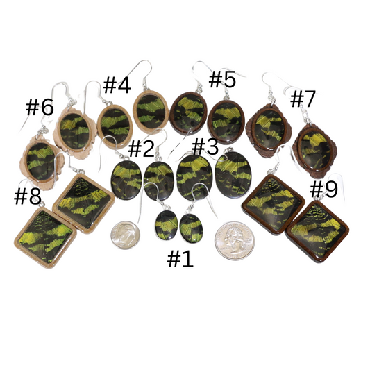 51003 - Real Butterfly Wing Jewelry - Earring Collection - Sunset Moth - Green