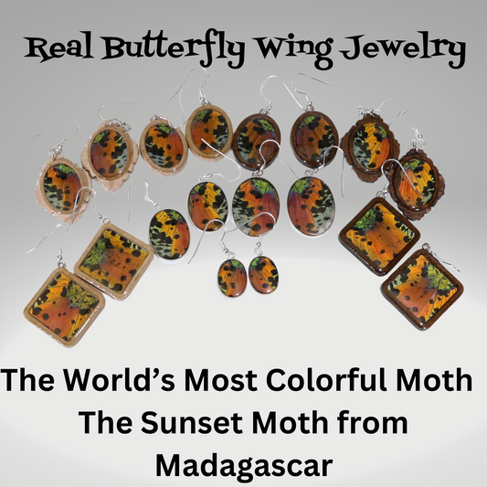 51002 - Real Butterfly Wing Jewelry - Earring Collection - Sunset Moth - Orange