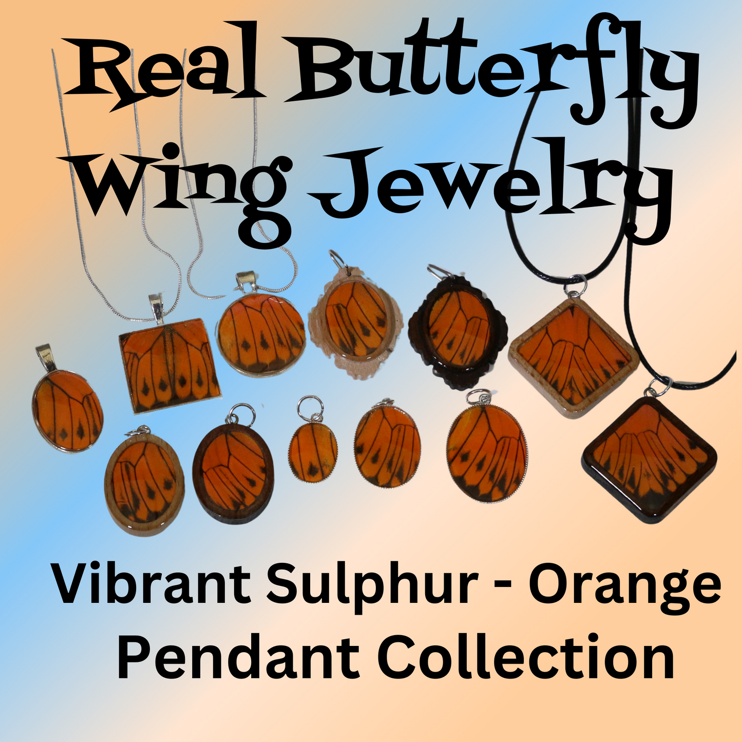 52005 - Real Butterfly Wing Jewelry - Pendant Collection - Vibrant Sulphur - Orange