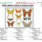 9162403 - Real Butterfly Acrylic Display Box - 16" X 24" - Exotic Moths