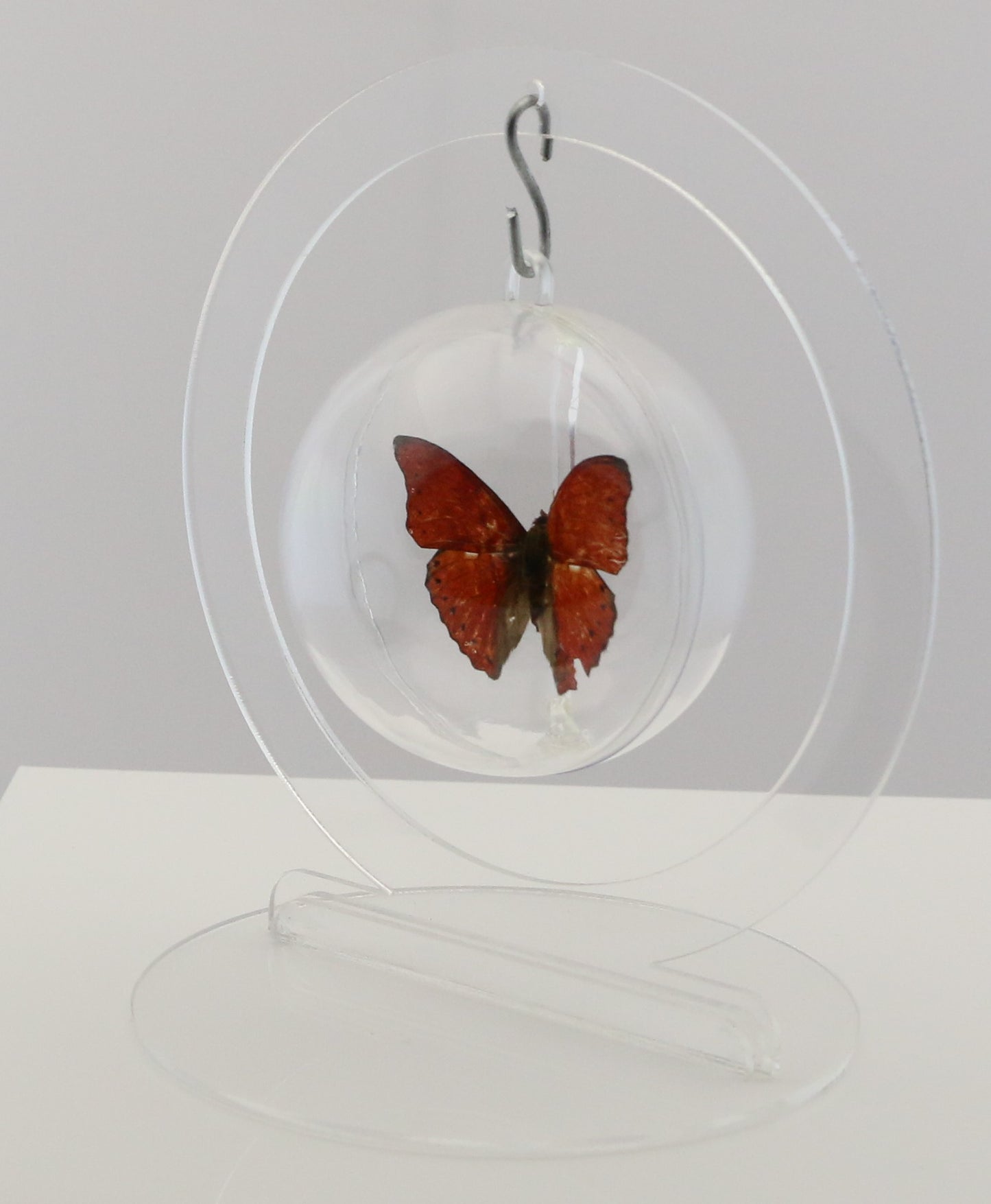 750100 - Butterfly Bubble - Sm. - Round- Red Glider Butterfly