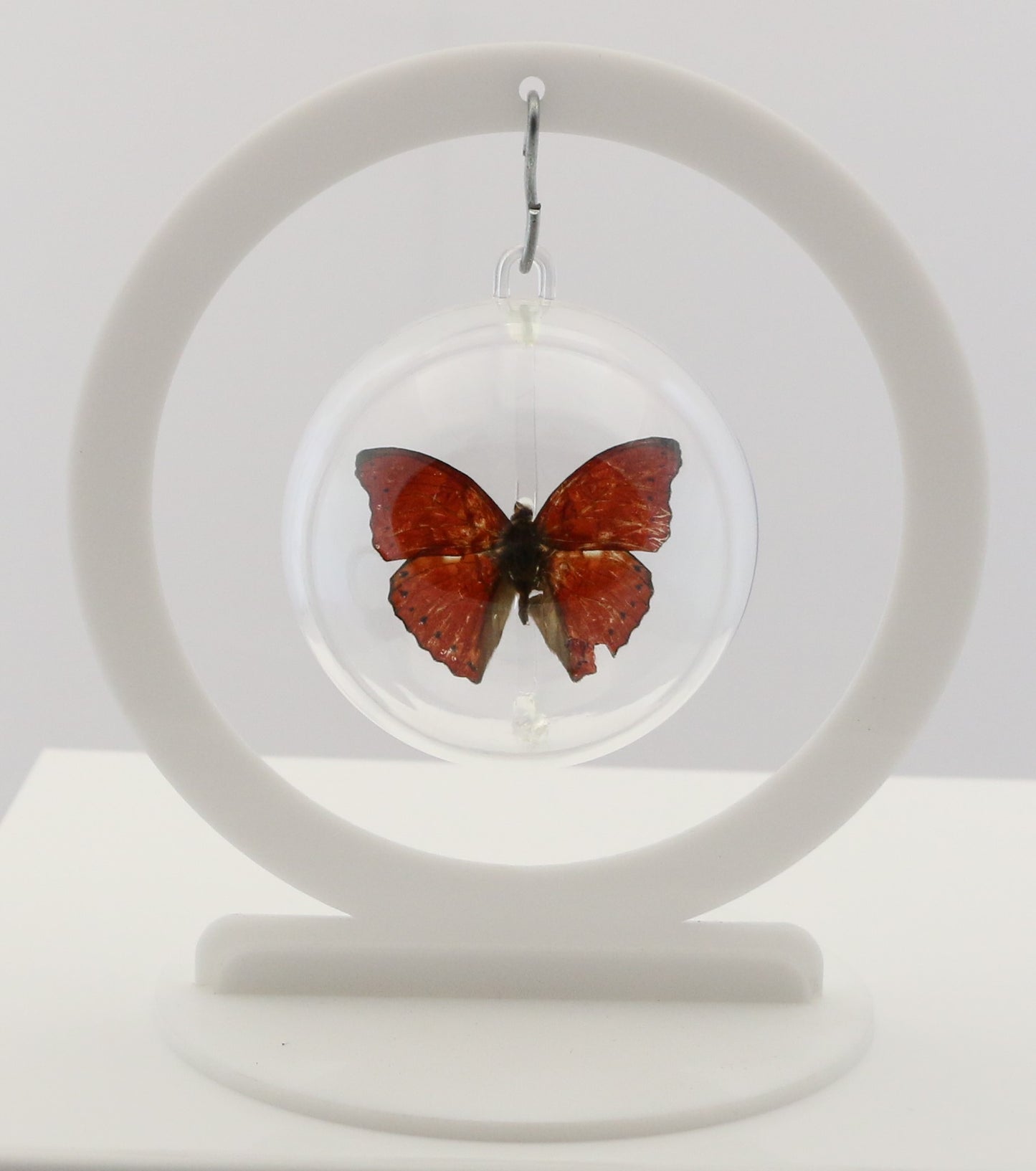 750100 - Butterfly Bubble - Sm. - Round- Red Glider Butterfly