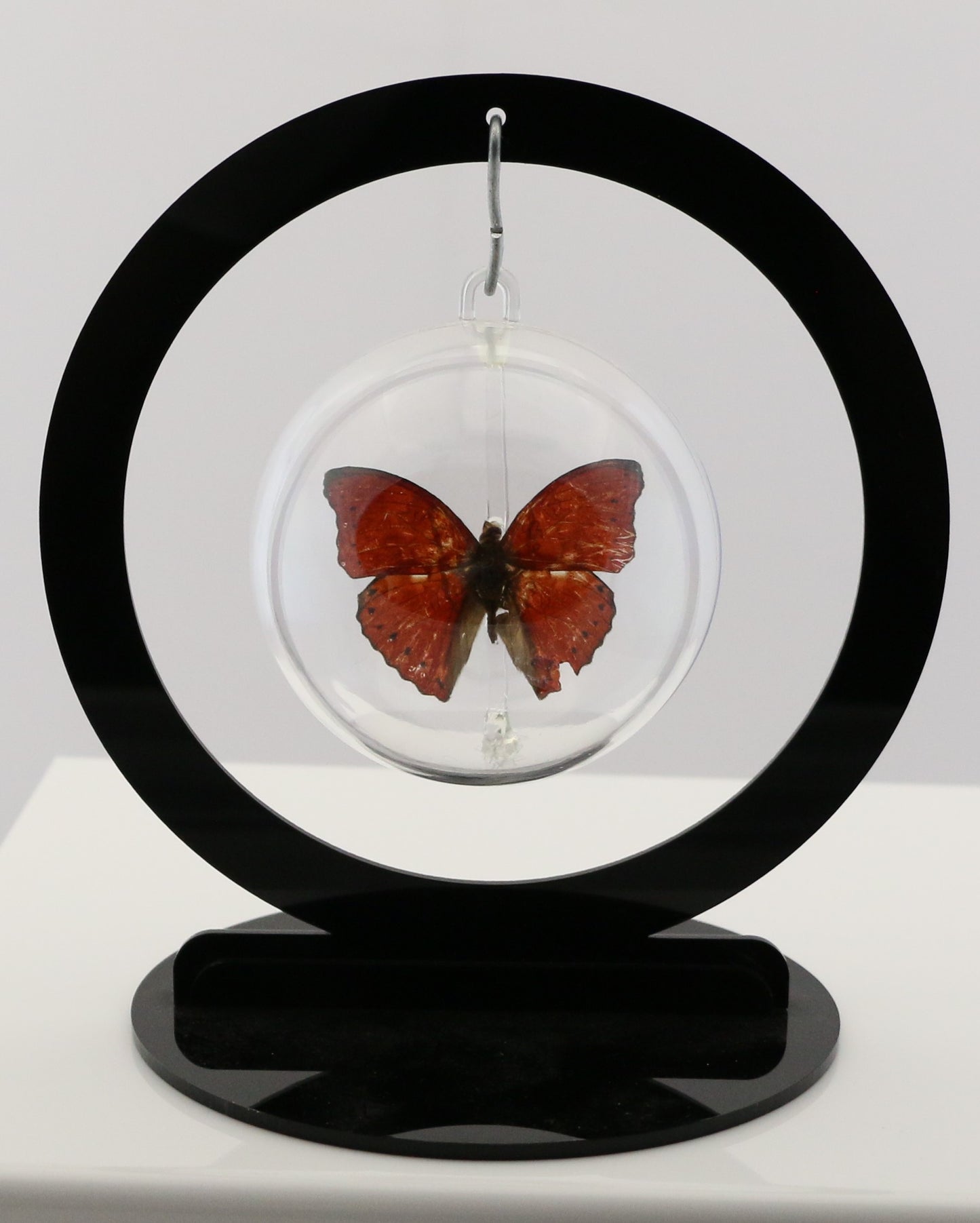 750100 - Butterfly Bubble - Sm. - Round- Red Glider Butterfly