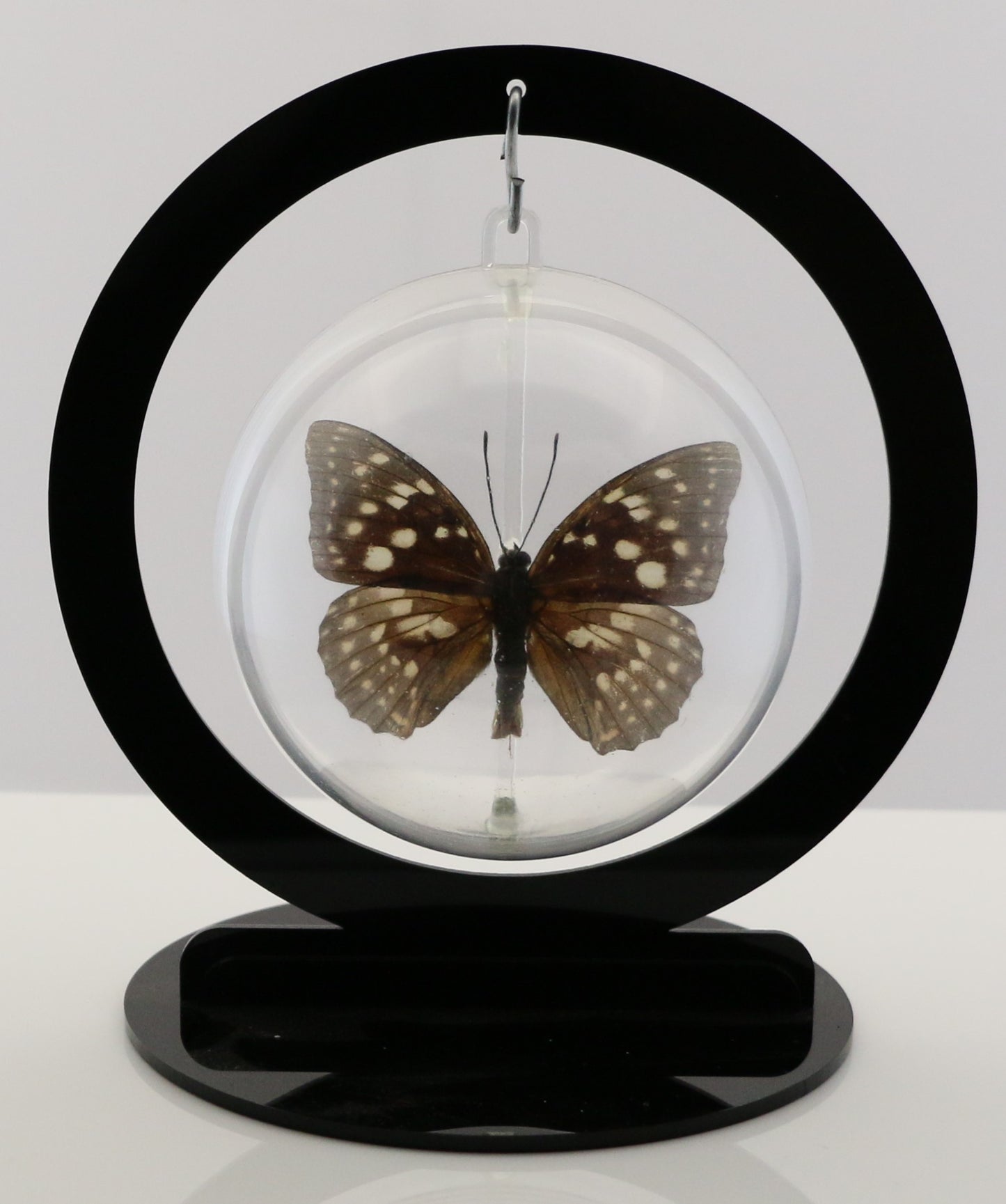 750210 - Butterfly Bubble - Med. - Round - Great Purple Emperor