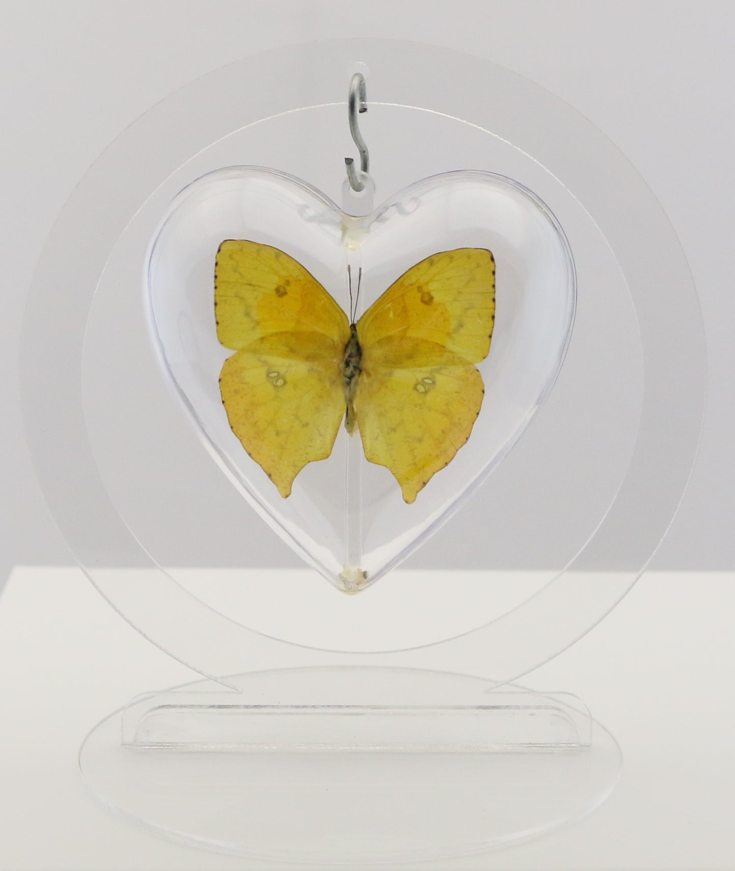 750800 - Butterfly Bubble - Med. - Heart Shape - Tailed Sulphur Butterfly