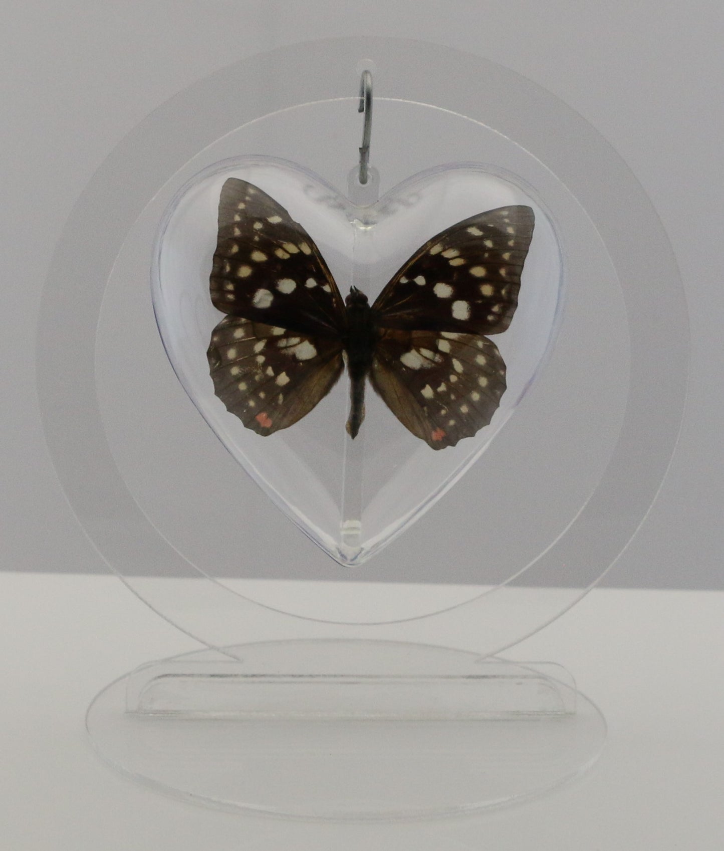 750801 - Butterfly Bubble - Med. - Heart Shape - Great Purple Emperor