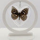 750801 - Butterfly Bubble - Med. - Heart Shape - Great Purple Emperor
