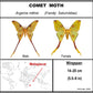 9091202 - Real Butterfly Acrylic Display Box - 9" X 12" - Comet Moth - Male