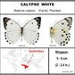 750209 - Butterfly Bubble - Med. - Round - Calypso White